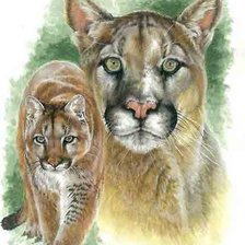 Схема вышивки «Пума»