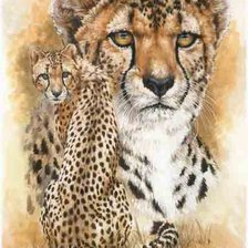 Схема вышивки «Гепард»