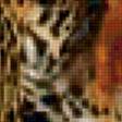 Предпросмотр схемы вышивки «Леопард» (№420675)
