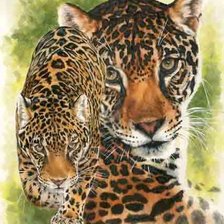 Схема вышивки «Леопард»