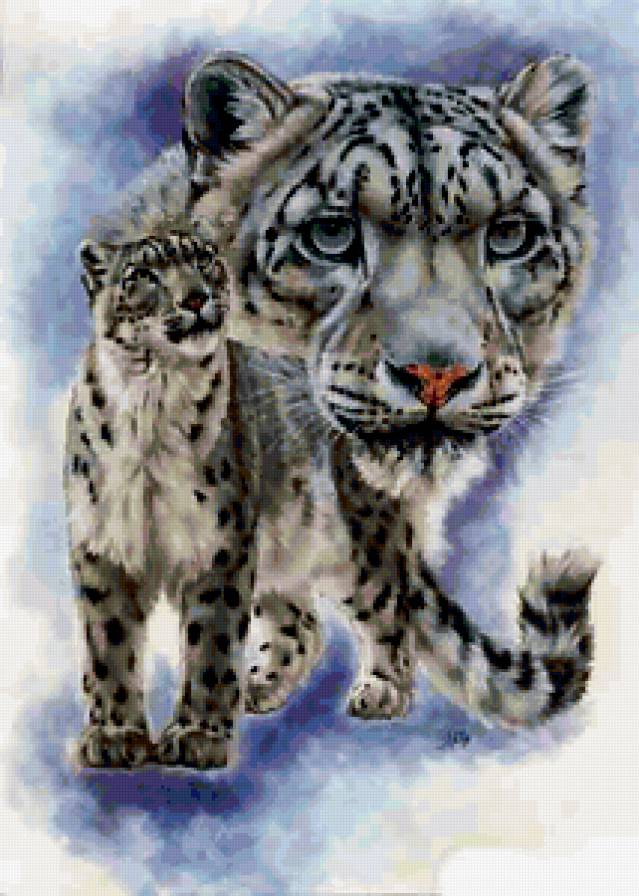 Снежный барс - дикие кошки, животные - предпросмотр