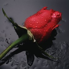 Схема вышивки «Цветок любви»