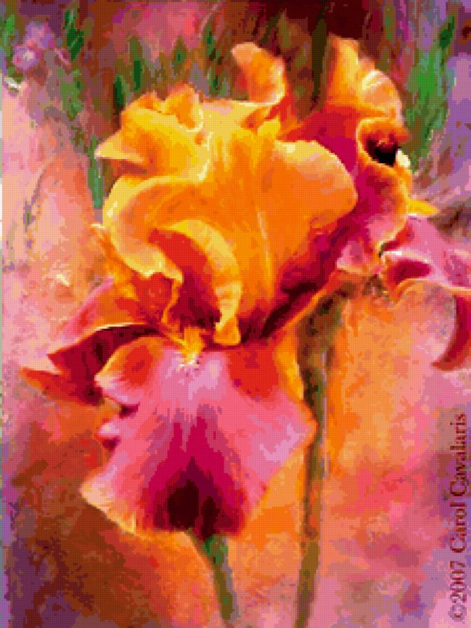 ирис - ирисы, живопись, цветы - предпросмотр