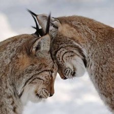 Схема вышивки «Любовь»