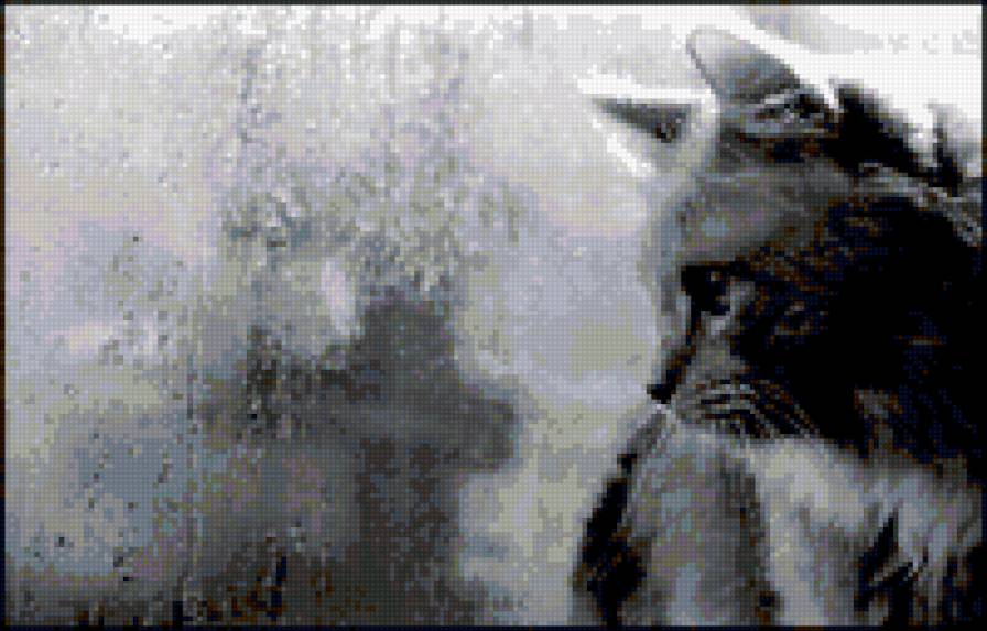 кот - грусть, кот, дождь, черно-белое - предпросмотр