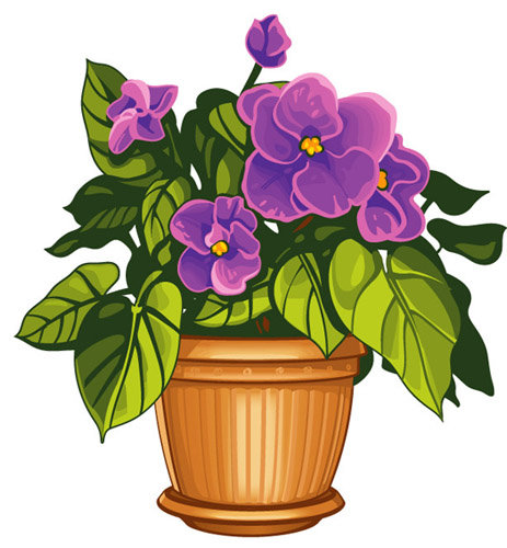 фиалка - фиалки, цветы, цветок, вазон - оригинал