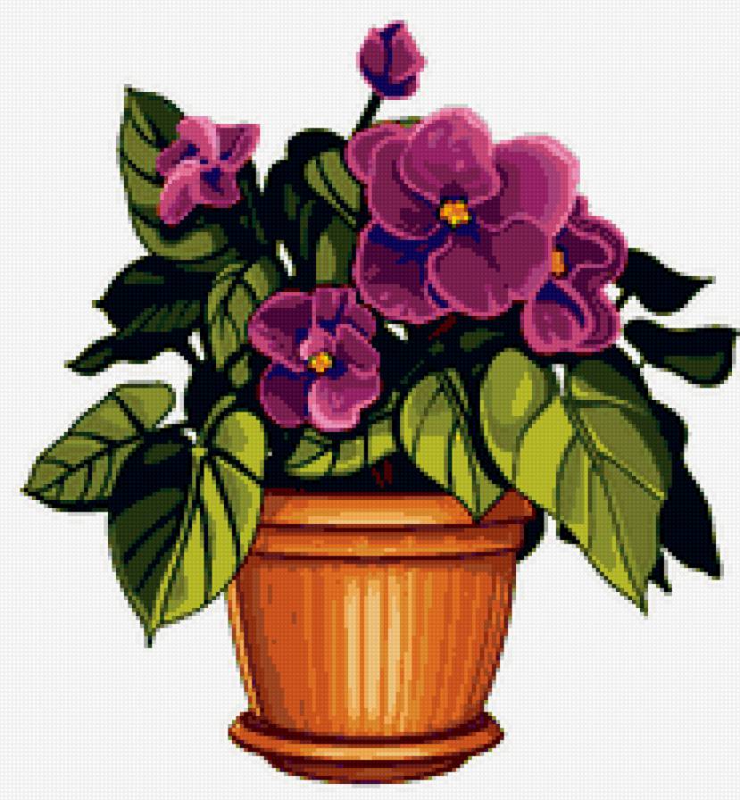 фиалка - цветок, фиалки, вазон, цветы - предпросмотр