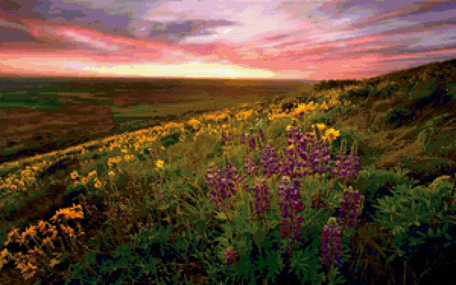 Цветущее поле - поле, цветы - предпросмотр