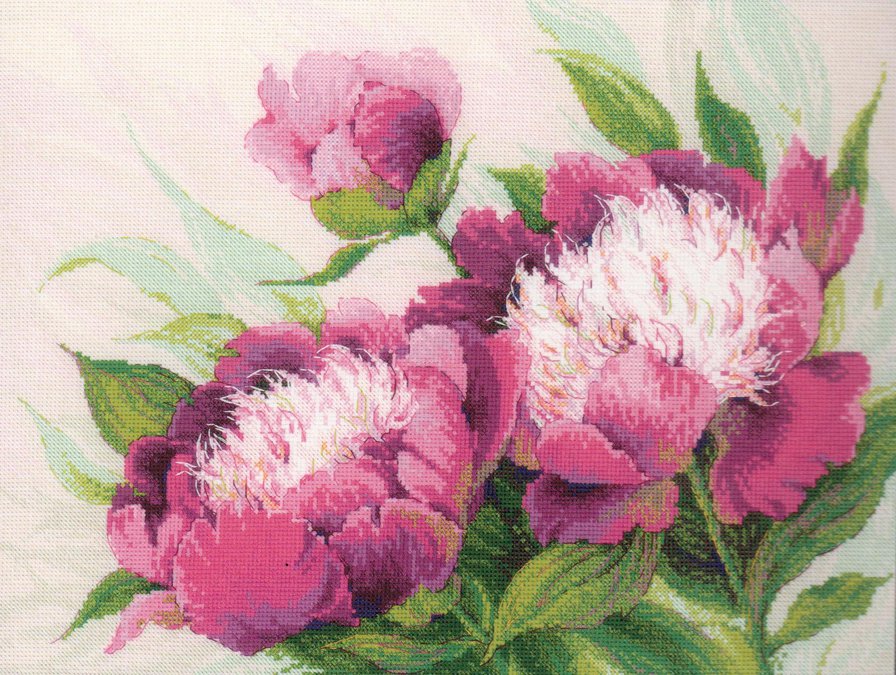 тюльпанчики - оригинал