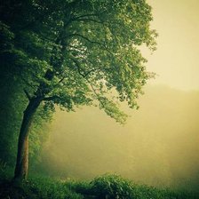 Схема вышивки «природа»