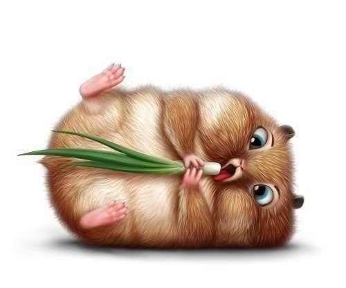 Хомячок - домашние животные, животные, хомяк - оригинал