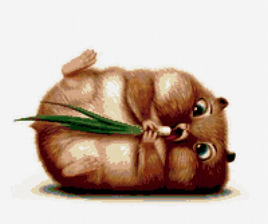 Хомячок - домашние животные, хомяк, животные - предпросмотр