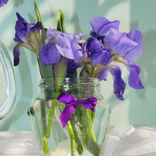 ирисы