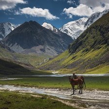 Схема вышивки «гори природа»