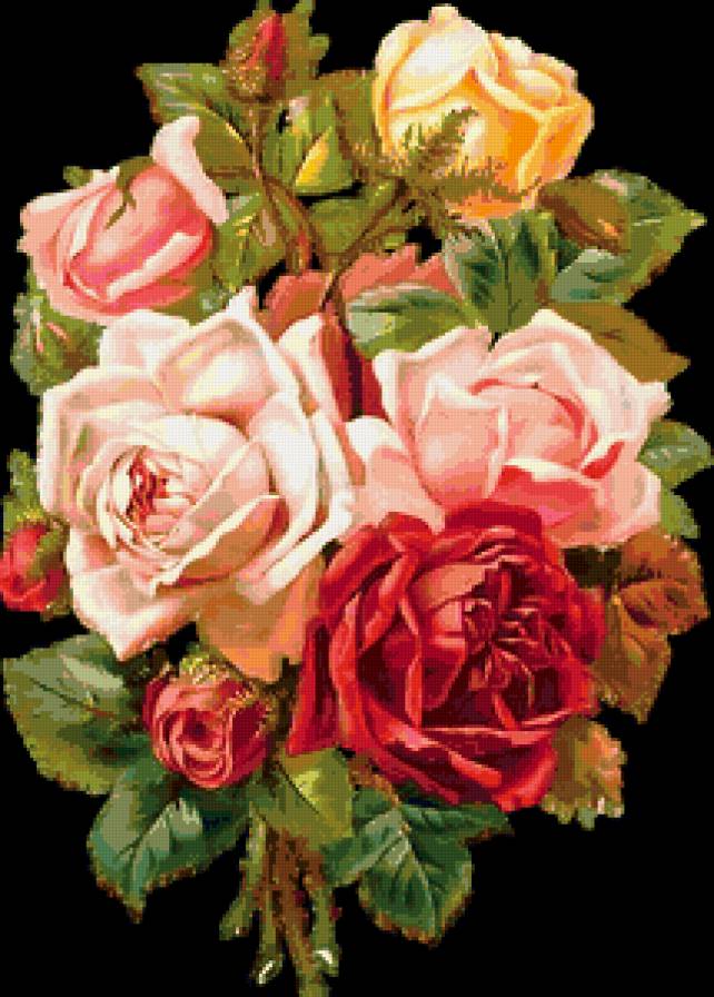 розы - цветы, розы, букет, роза - предпросмотр