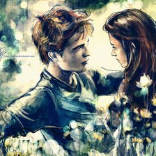 Схема вышивки «Белла и Эдвард»