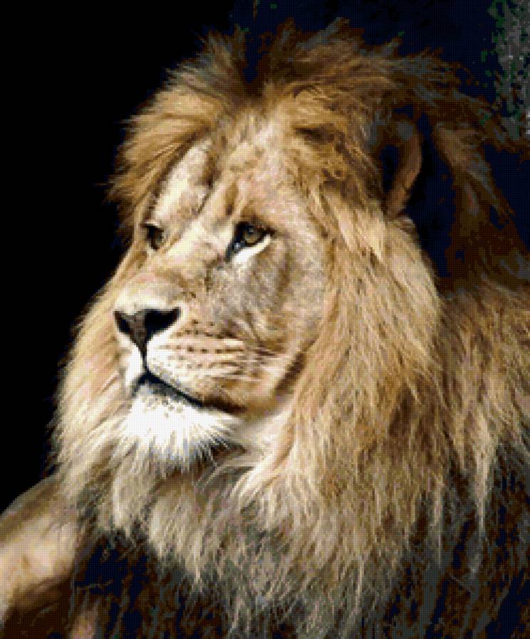 ktd - предпросмотр