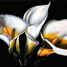 Схема вышивки «лилии на черном»