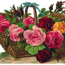 Схема вышивки «корзина роз»
