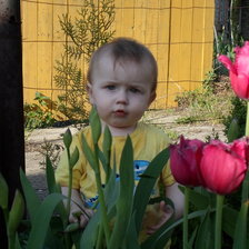 Схема вышивки «тюльпаны»