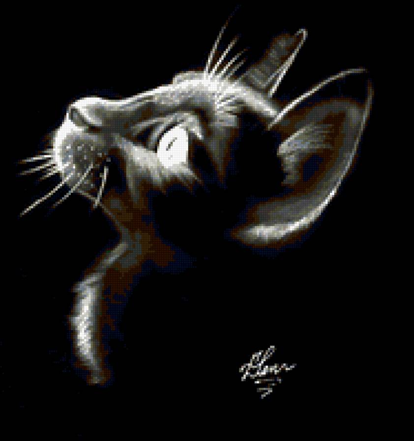 Черная кошка - предпросмотр