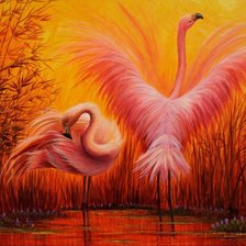 Фламинго на закате.