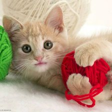 Схема вышивки «Котенок»