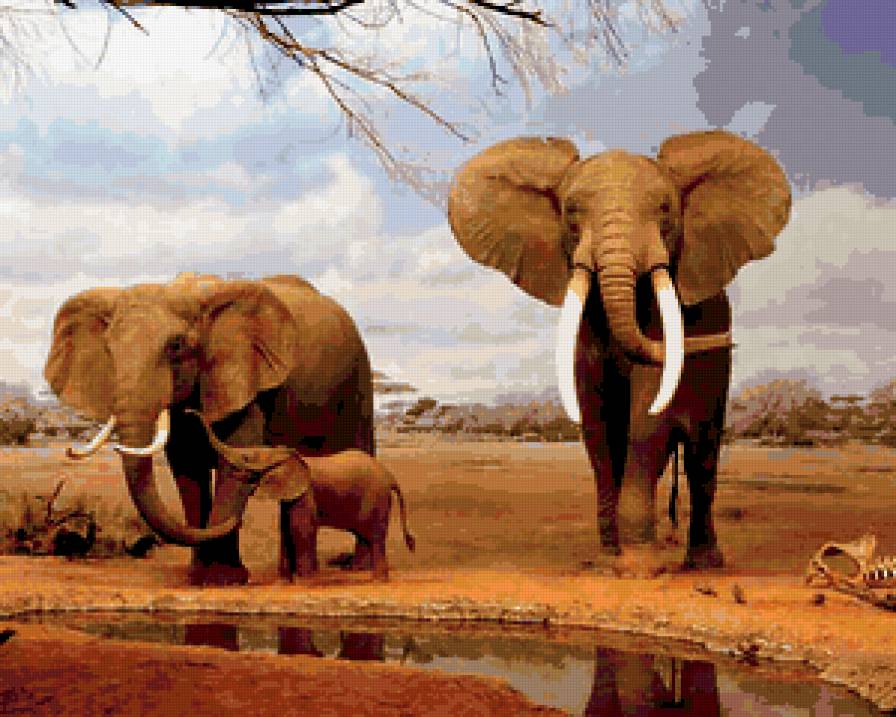 Слоны - животные - предпросмотр