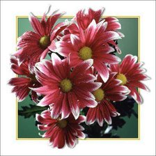 Схема вышивки «букет»