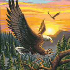 Схема вышивки «орел»