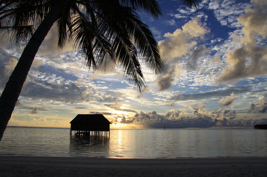 maldives - оригинал