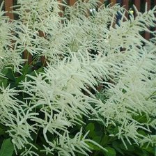 Схема вышивки «волжанка»