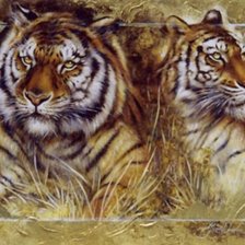 Схема вышивки «Серия "Большие кошки"»