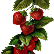 Схема вышивки «земляника»