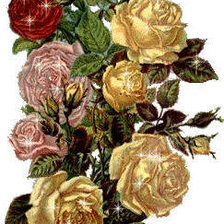 Схема вышивки «розы»