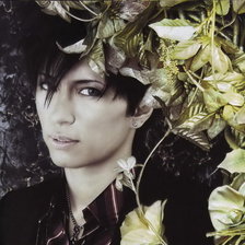 Схема вышивки «Gackt»