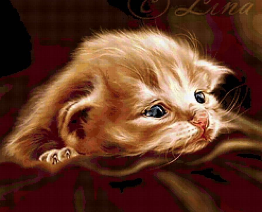 Новорожденный - животные - предпросмотр