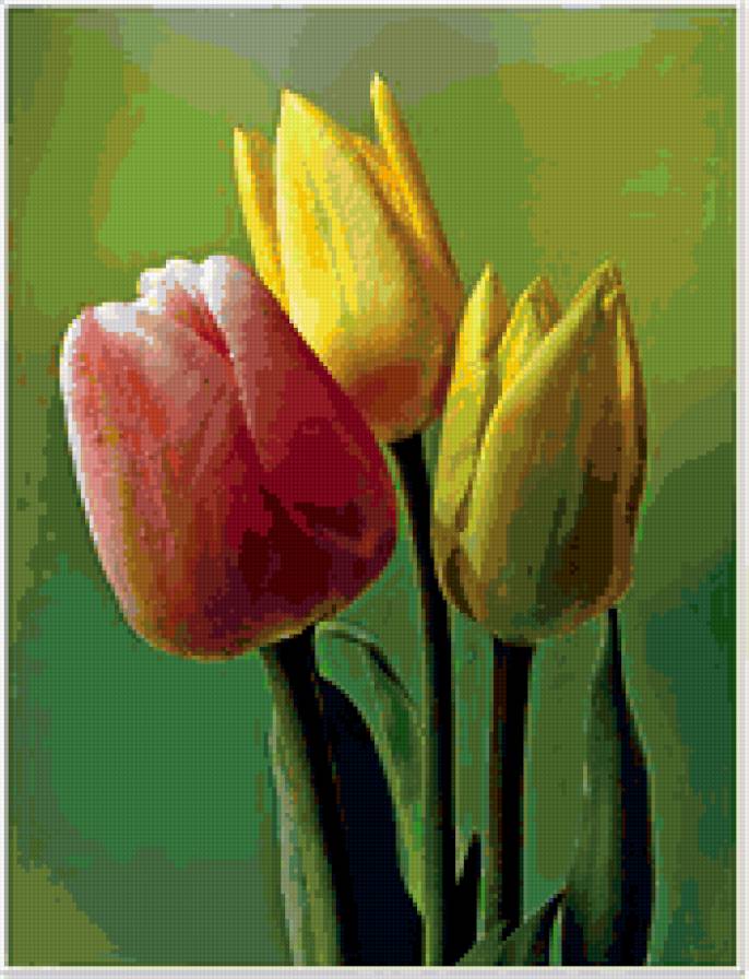 тюльпаны - цветы, букет, тюльпаны - предпросмотр