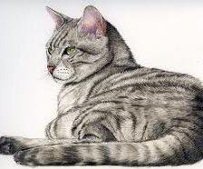 Схема вышивки «кошка»