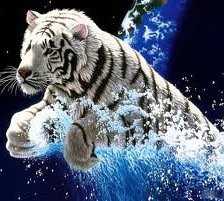 Схема вышивки «тигр»