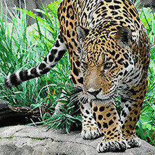 Схема вышивки «обход владений»