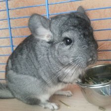 Схема вышивки «Боня»