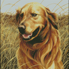 Схема вышивки «охотничья собака»