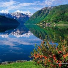 Схема вышивки «природа»