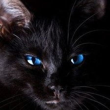 Схема вышивки «№424480»