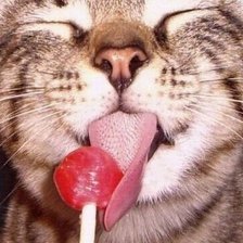 Схема вышивки «№424607»