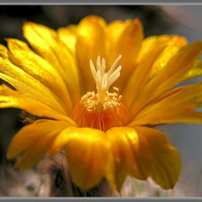 Схема вышивки «№424697»