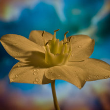 Схема вышивки «№424722»