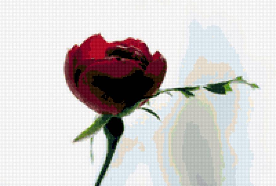 №424739 - предпросмотр