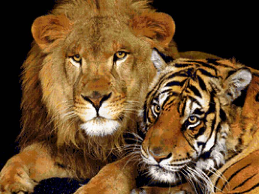 тигр и лев - животные, кошки - предпросмотр